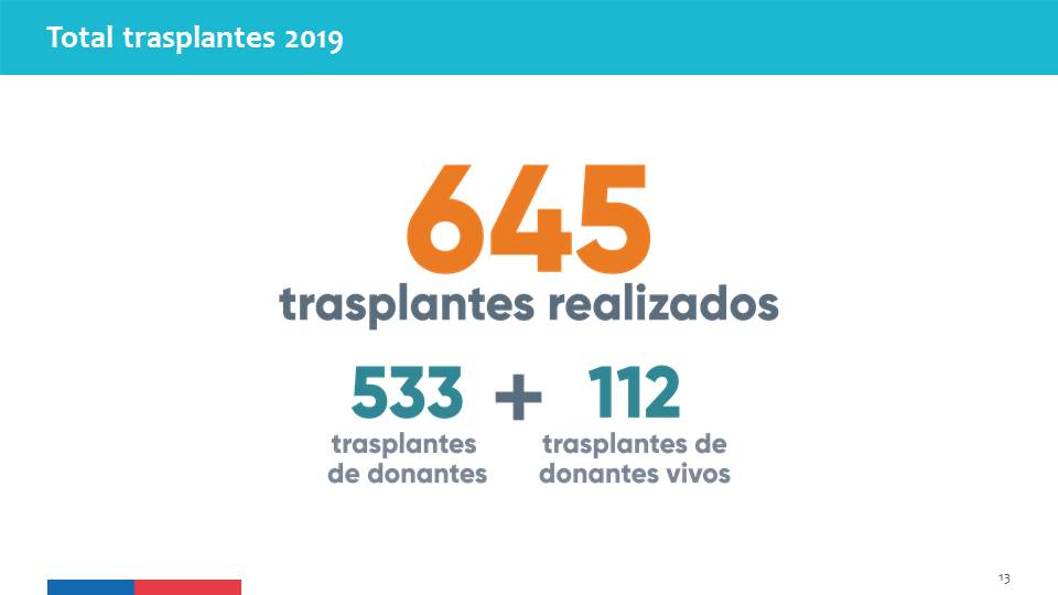 Total de trasplantes realizados durante el año 2019.